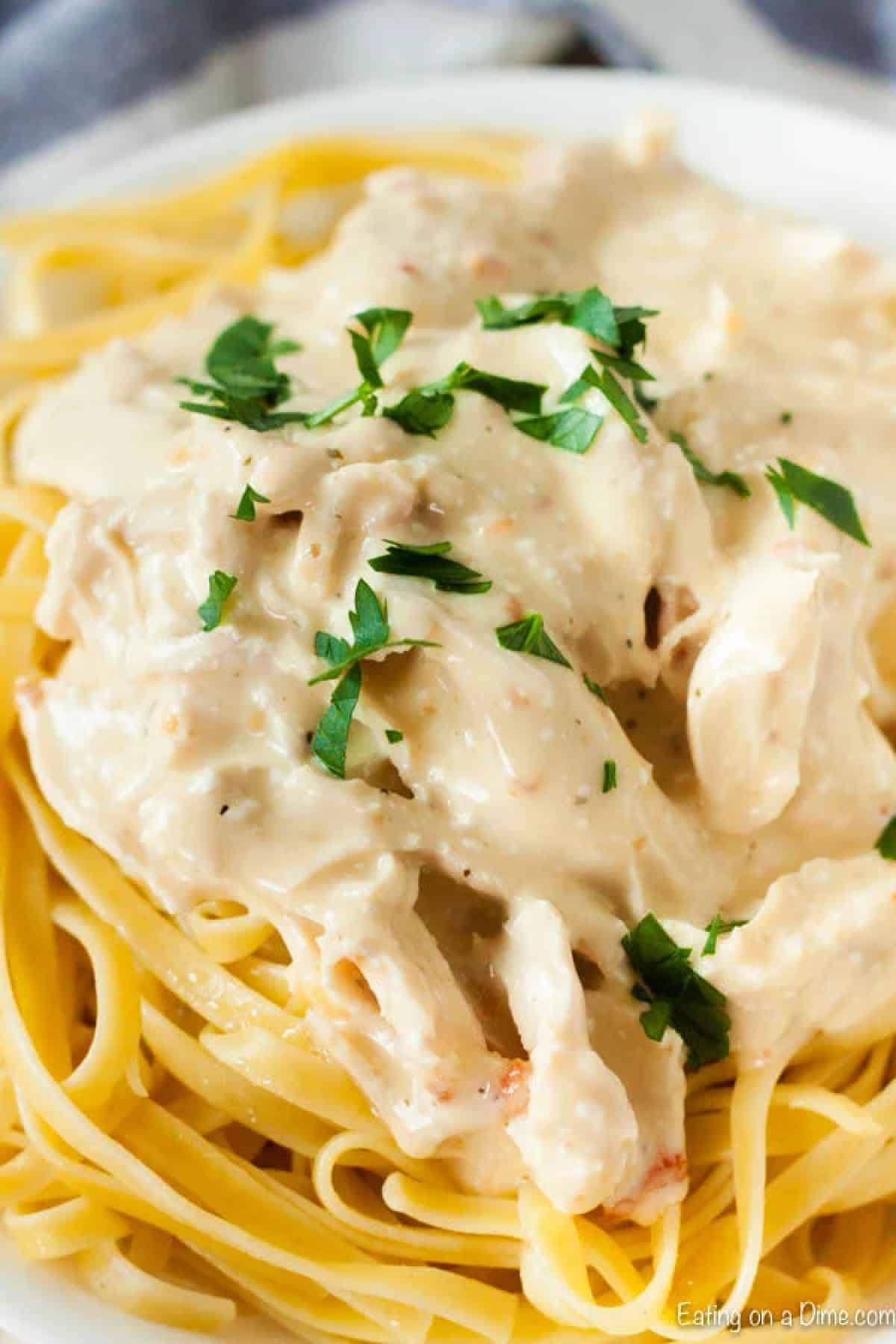 Crock Pot Chicken Alfredo is easy to make and delicious. You can enjoy Crock Pot Chicken Fettuccine Alfredo any day of the week thanks to the slow cooker! Chicken Alfredo on a plate