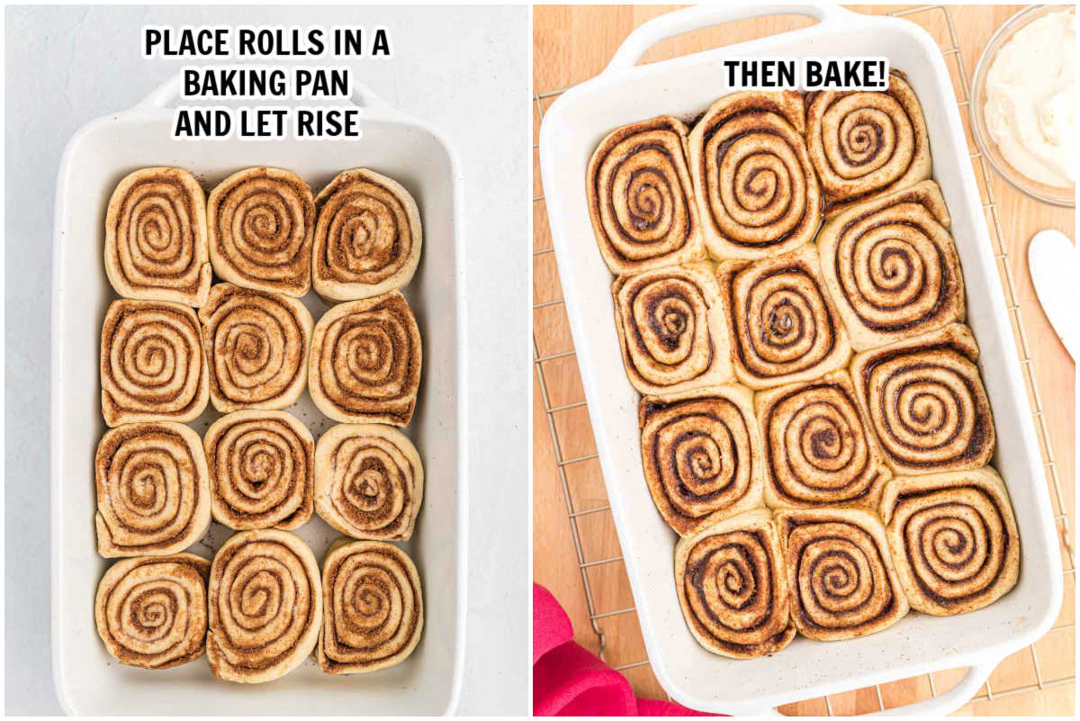 Placing the cinnamon roll dough in the pan