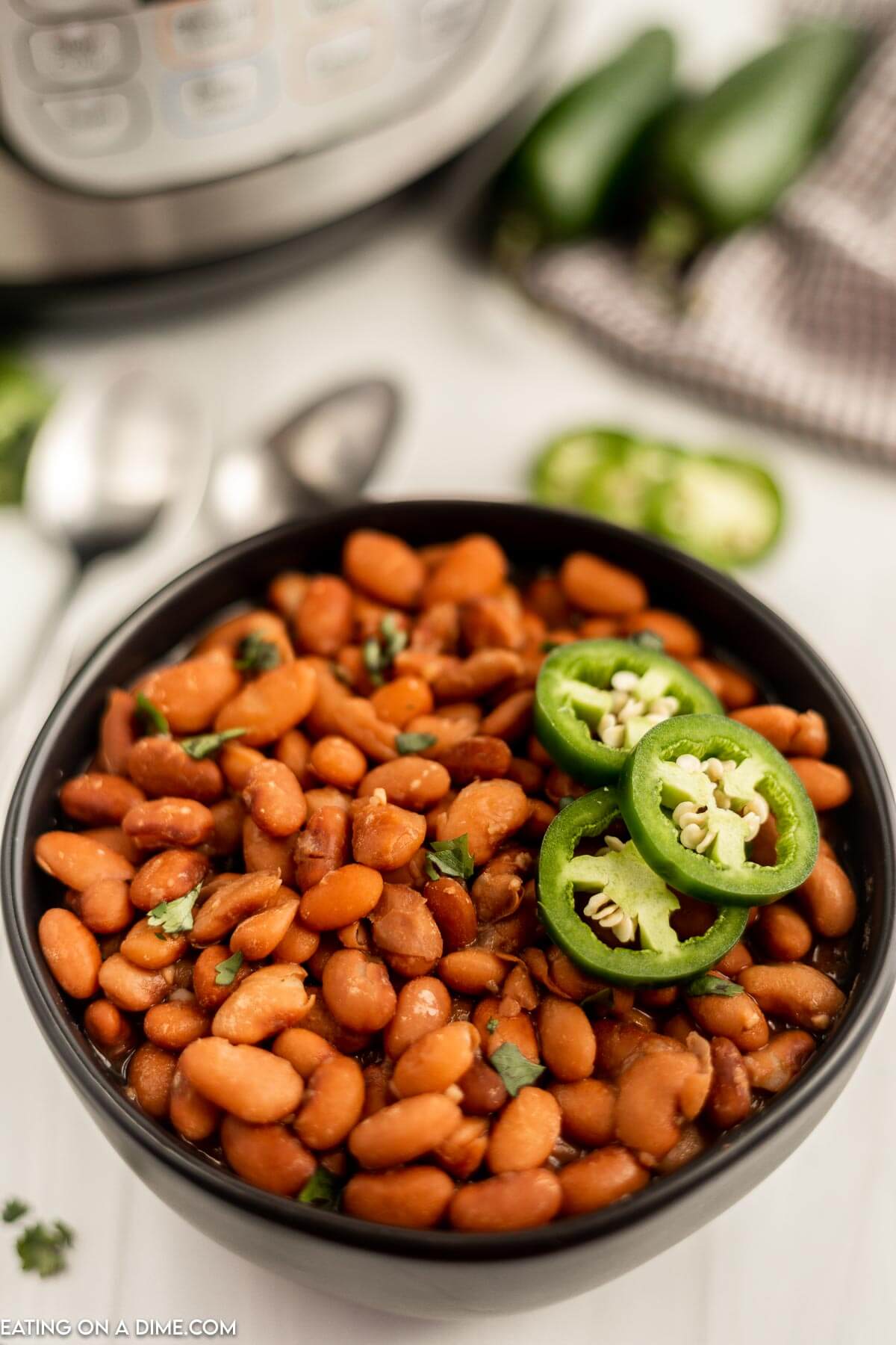 Close up image of a bowl of pinto beans topped with sliced jalapenos