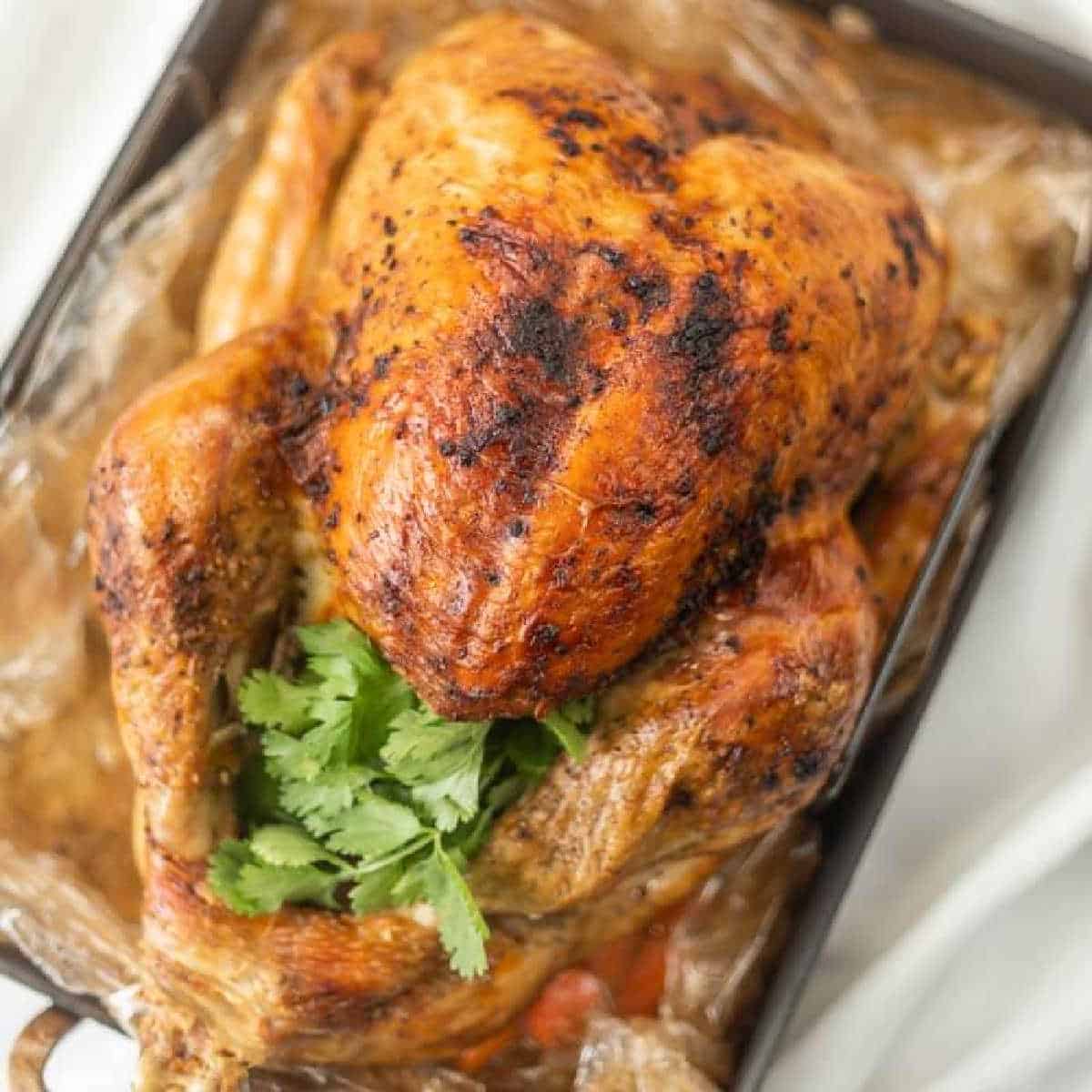 A whole roasted turkey with crispy, golden-brown skin sits on a tray. Garnished with fresh cilantro and surrounded by roasting juices and vegetables, it’s cooked to perfection using the how to cook a turkey in a bag method.
