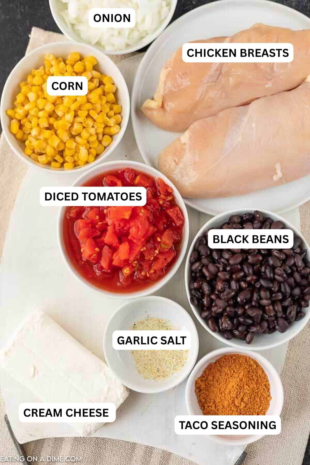 Ingredients for recipe - onion, chicken breasts, corn, diced tomatoes, black beans, garlic salt, cream cheese, taco seasoning.