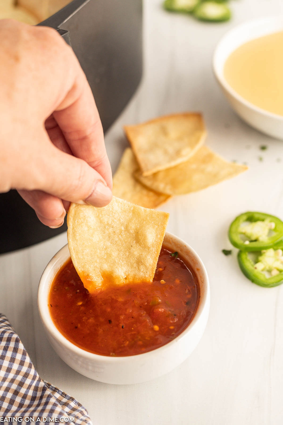 Air Fryer Tortilla Chips dipping in a a bowl of salsa