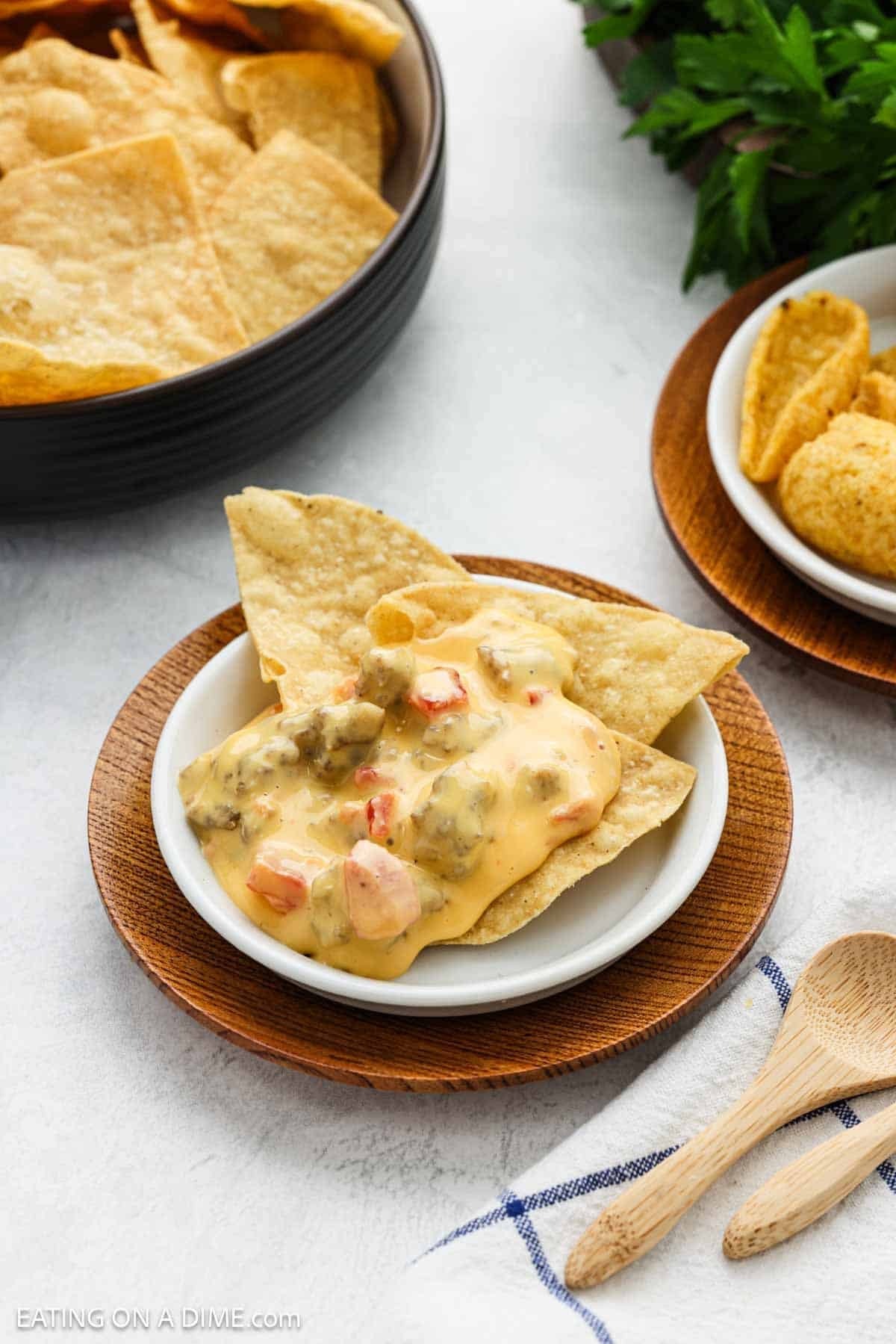 Tortilla chips on a plate topped with cheese dip.