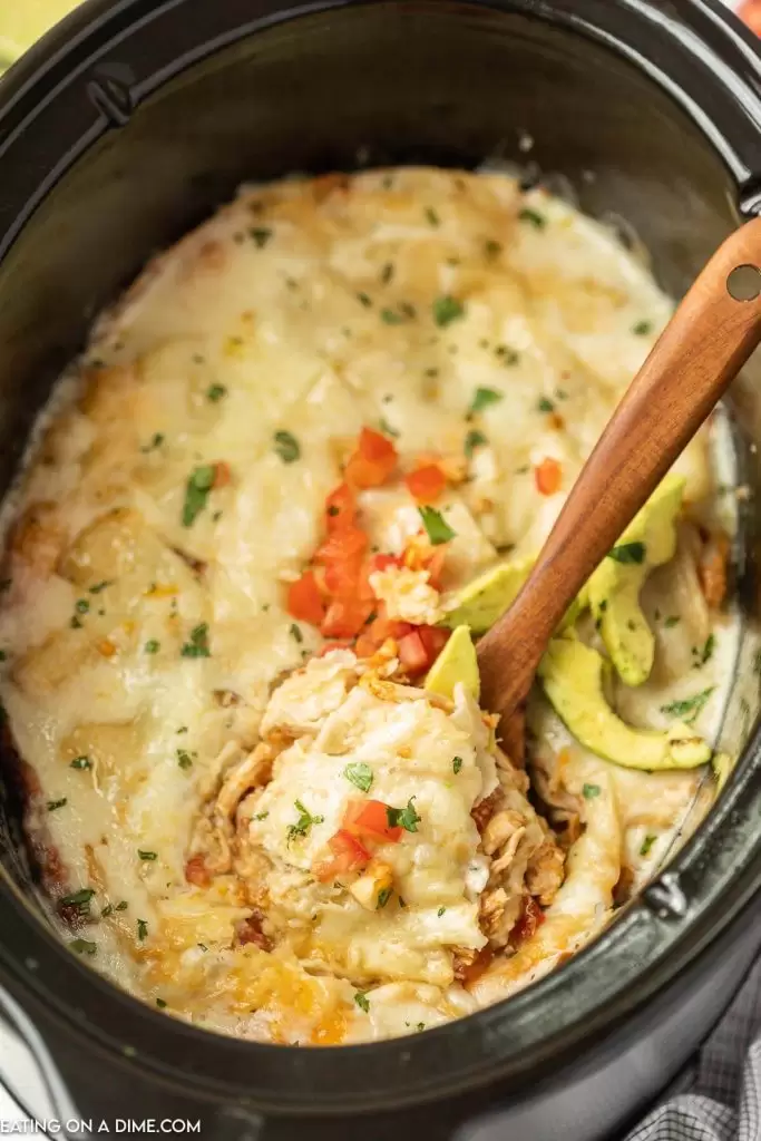Mexican Chicken Enchiladas: A Fiesta on Your Plate