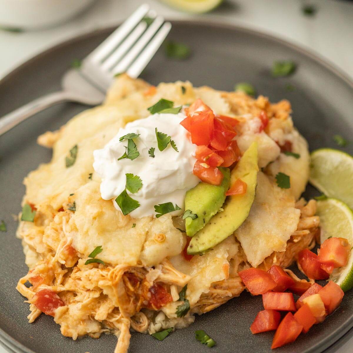 slow cooker chicken enchilada casserole on a plate