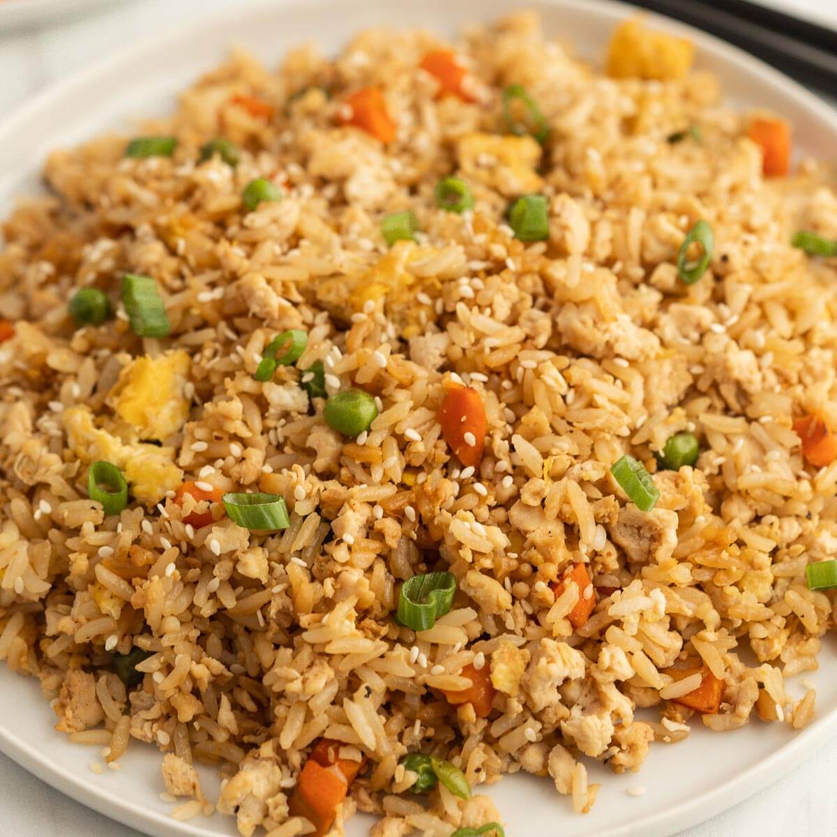 Ground chicken fried rice on a plate. 