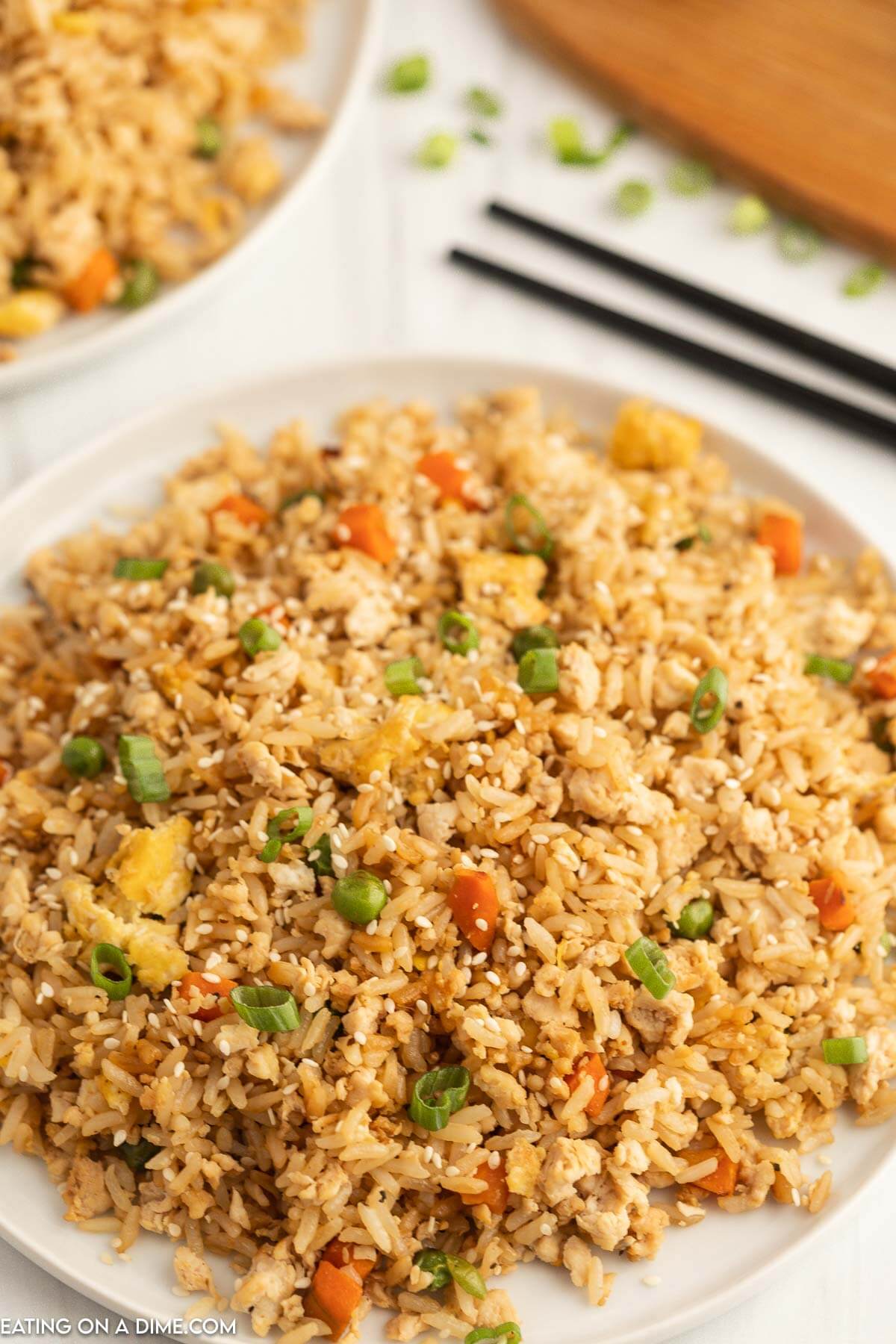 Ground chicken fried rice on a plate. 