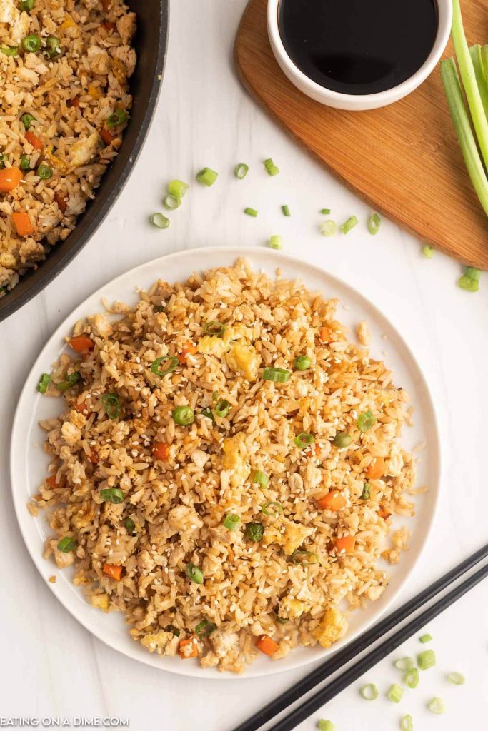 Ground chicken fried rice on a plate. 