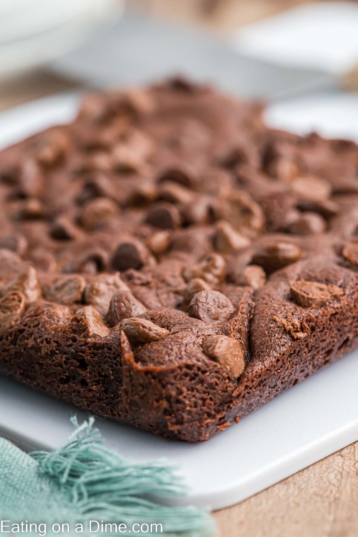 Chocolate brownie topped with chocolate chips