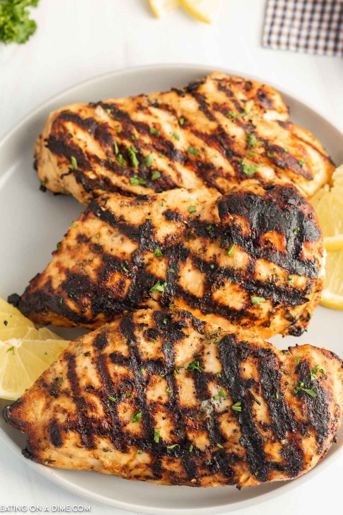 Grilled chicken on a plate. 