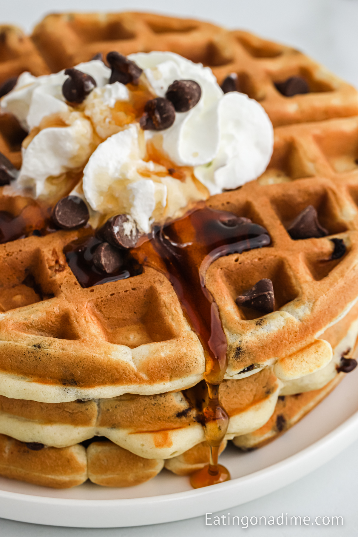 Chocolate Chip Waffles topped with chocolate chips, whipped cream and syrup