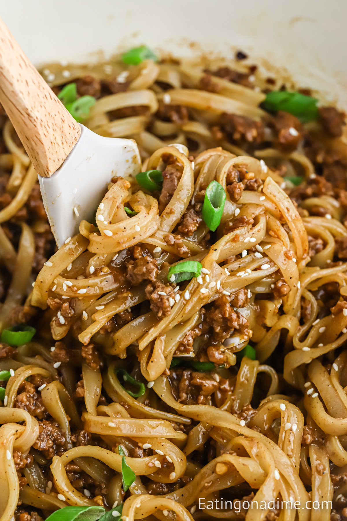 Mongolian Beef and Noodles with a spoon