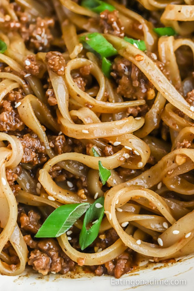 Mongolian Beef and Noodles 