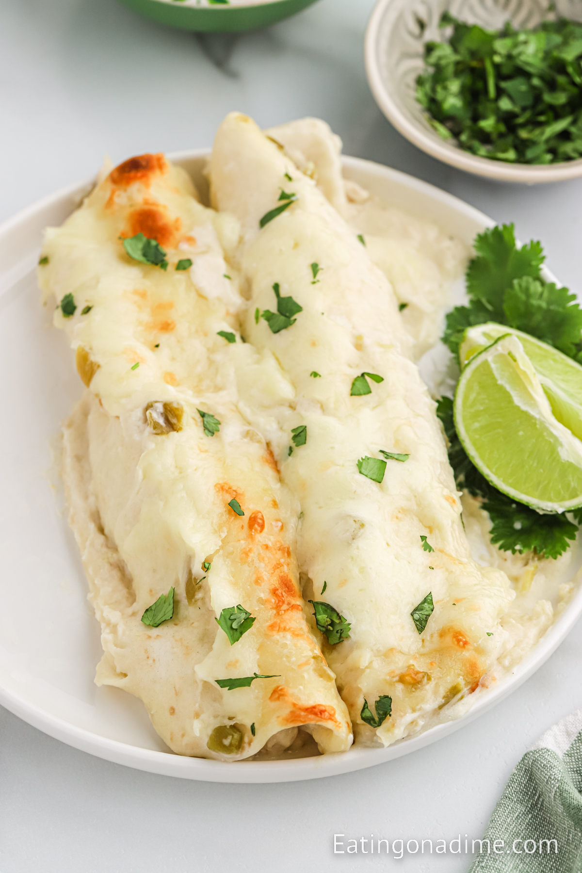 White Chicken Enchilada on a plate