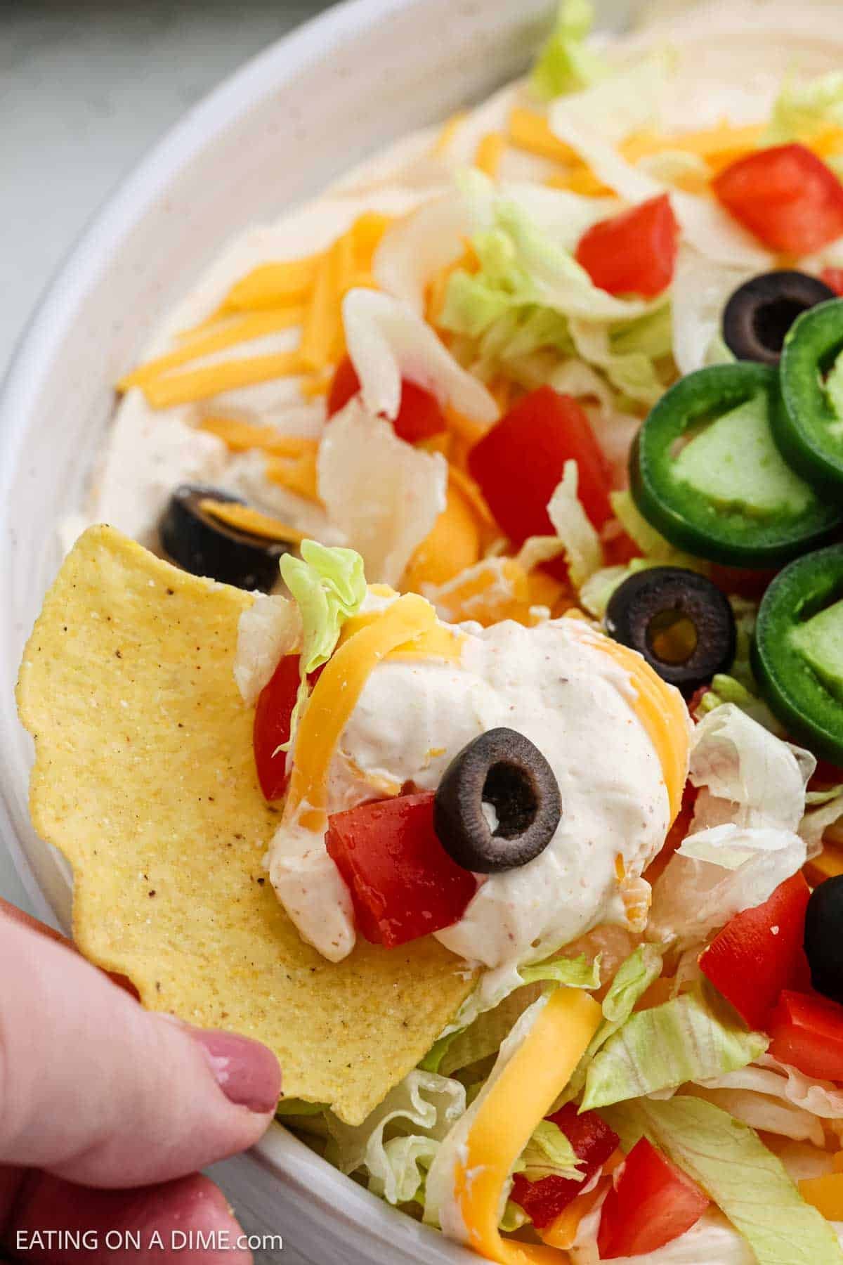 Tortilla Chips dipped into taco dip with shredded cheese, black olives, cream cheese mixture and diced tomatoes