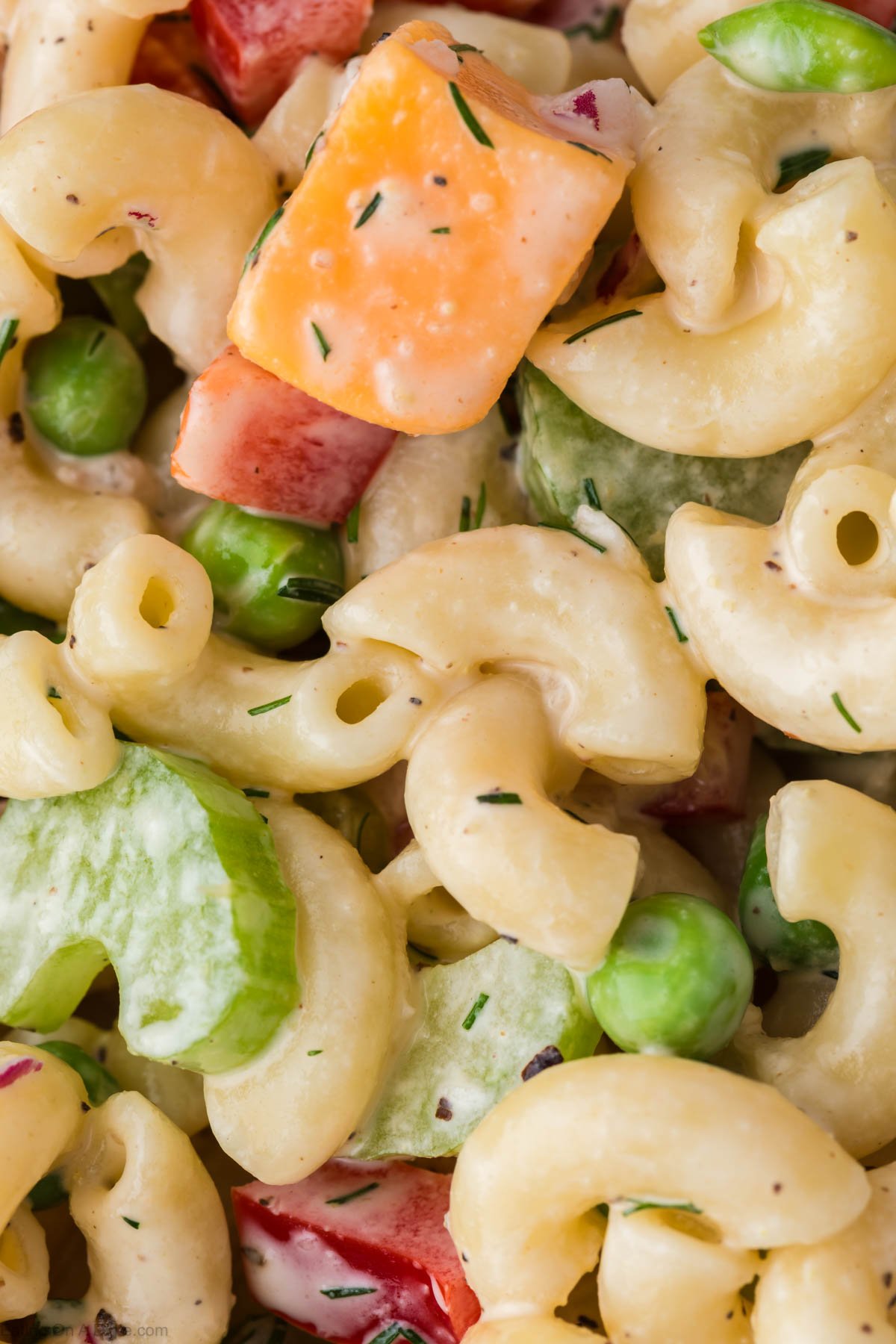 Close-up of the macaroni salad. 