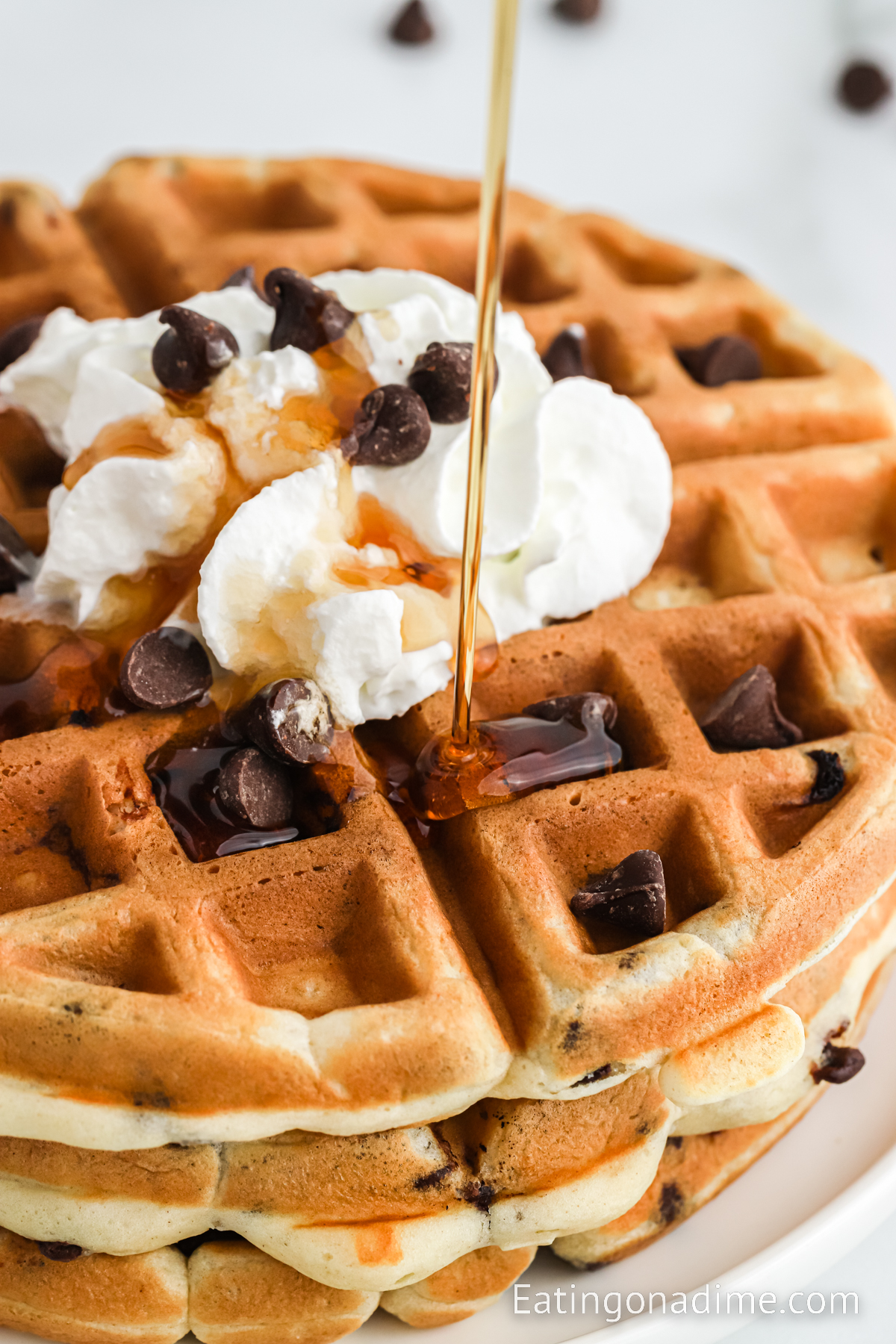 Chocolate Chip Waffles topped with chocolate chips, whipped cream and syrup