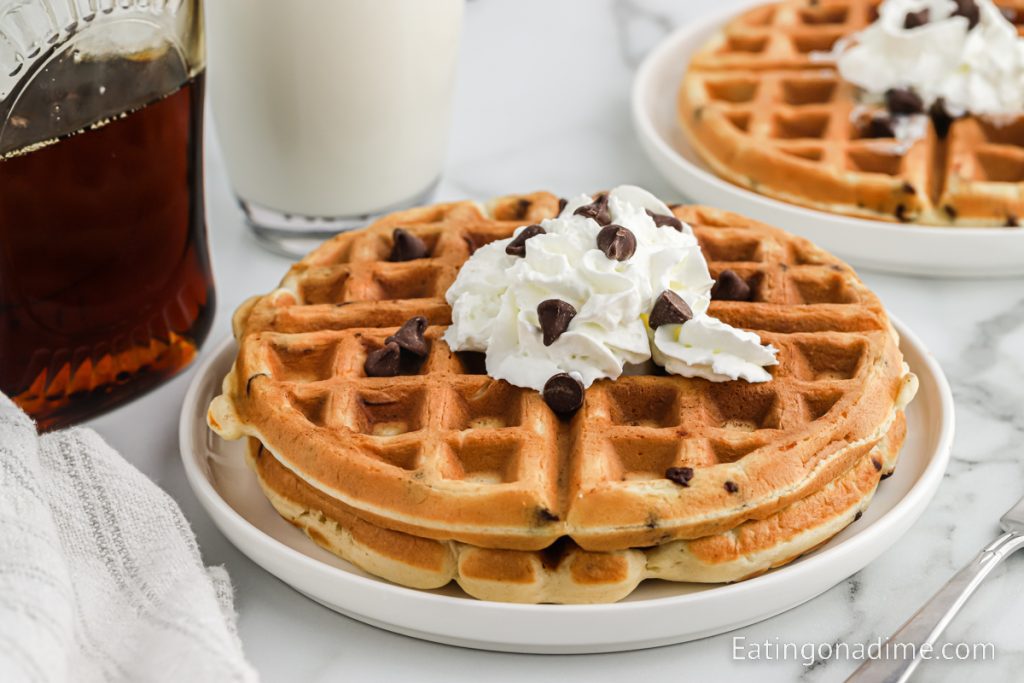 Chocolate Chip Waffles topped with chocolate chips, whipped cream 