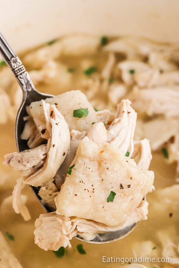 Chicken and Dumplings with a bite on a spoon