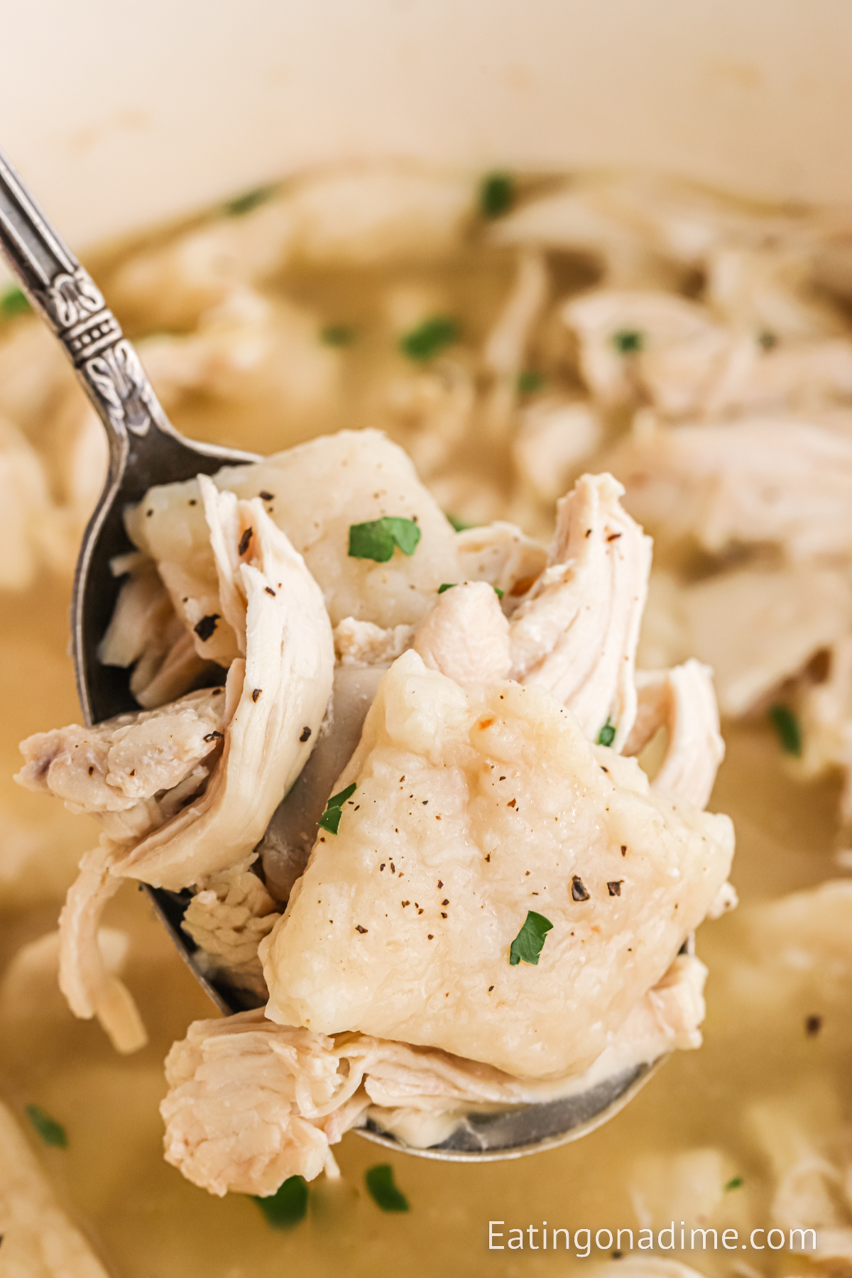 Chicken and Dumplings with a bite on a spoon