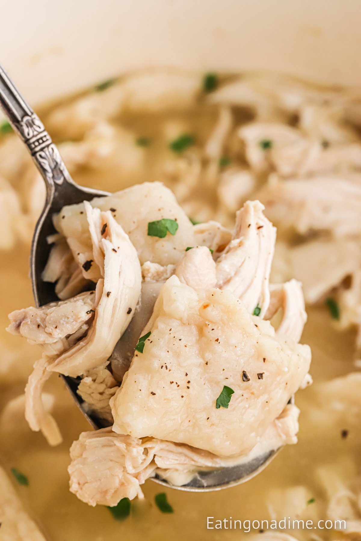 Gluten Free Chicken and Dumplings (Cracker Barrel Style) - India