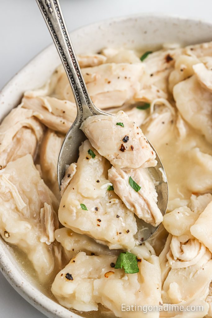 Chicken and Dumplings in a white bowl with a spoon