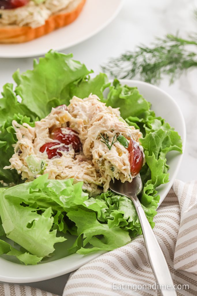 Chicken salad on a bed of lettuce with a bite on a fork
