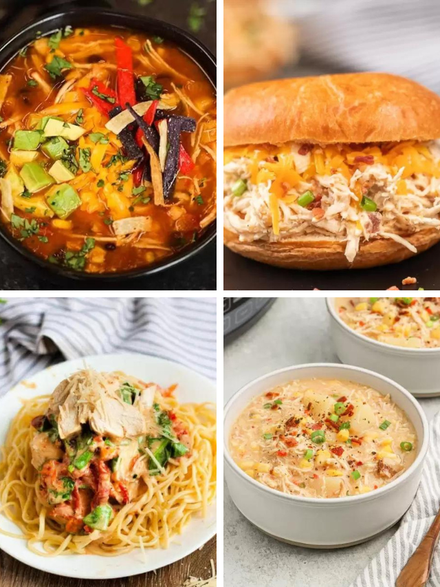 60+ Dump and Go Slow Cooker Meals - Eating on a Dime