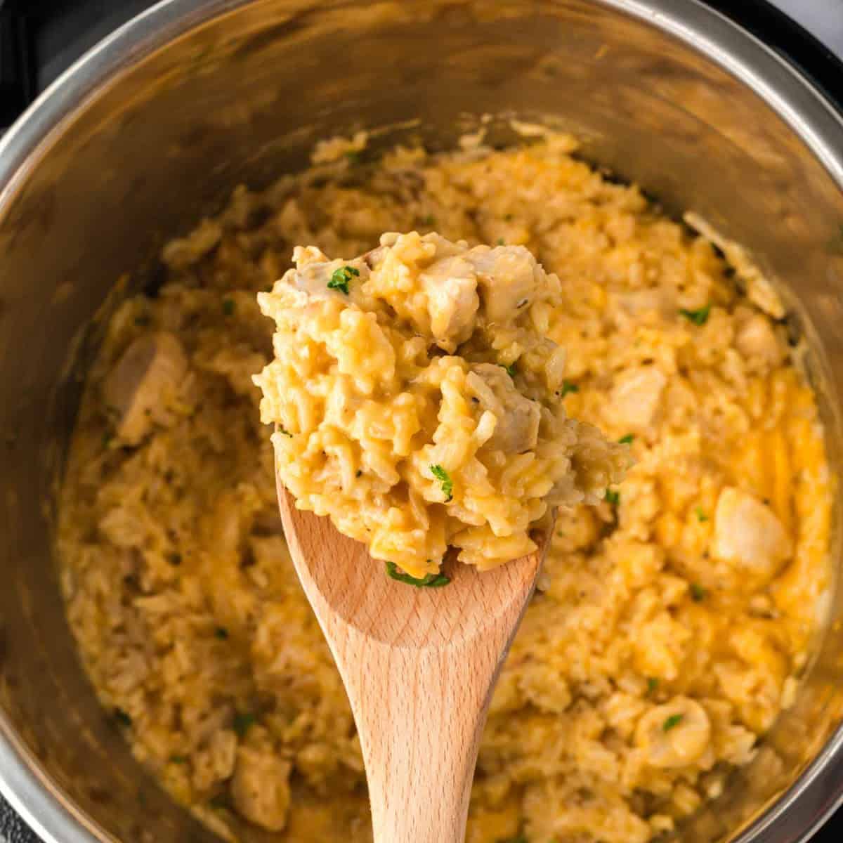 A wooden spoon holds a serving of creamy Instant Pot chicken and rice above a pot filled with more of the same dish. The rice appears well mixed with chunks of chicken and garnished with herbs.