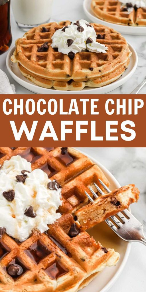 Chocolate Chip Waffles is a delicious recipe to make for any occasion. Make breakfast special and add chocolate chips to your waffle recipe. Chocolate Chip Waffles are cooked to perfection with this easy recipe. The crispy waffles are delicious and the perfect treat for any occasion. #eatingonadime #chocolatechipwaffles #wafflesrecipe #chocolatechip
