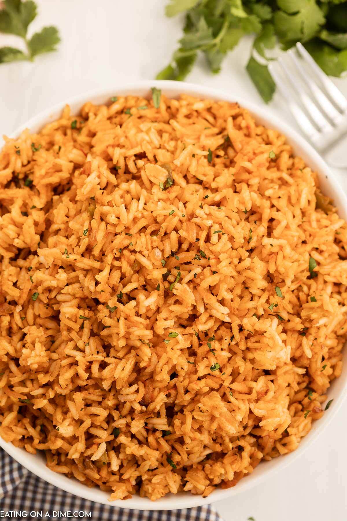 Close up image of Spanish Rice in a white bowl