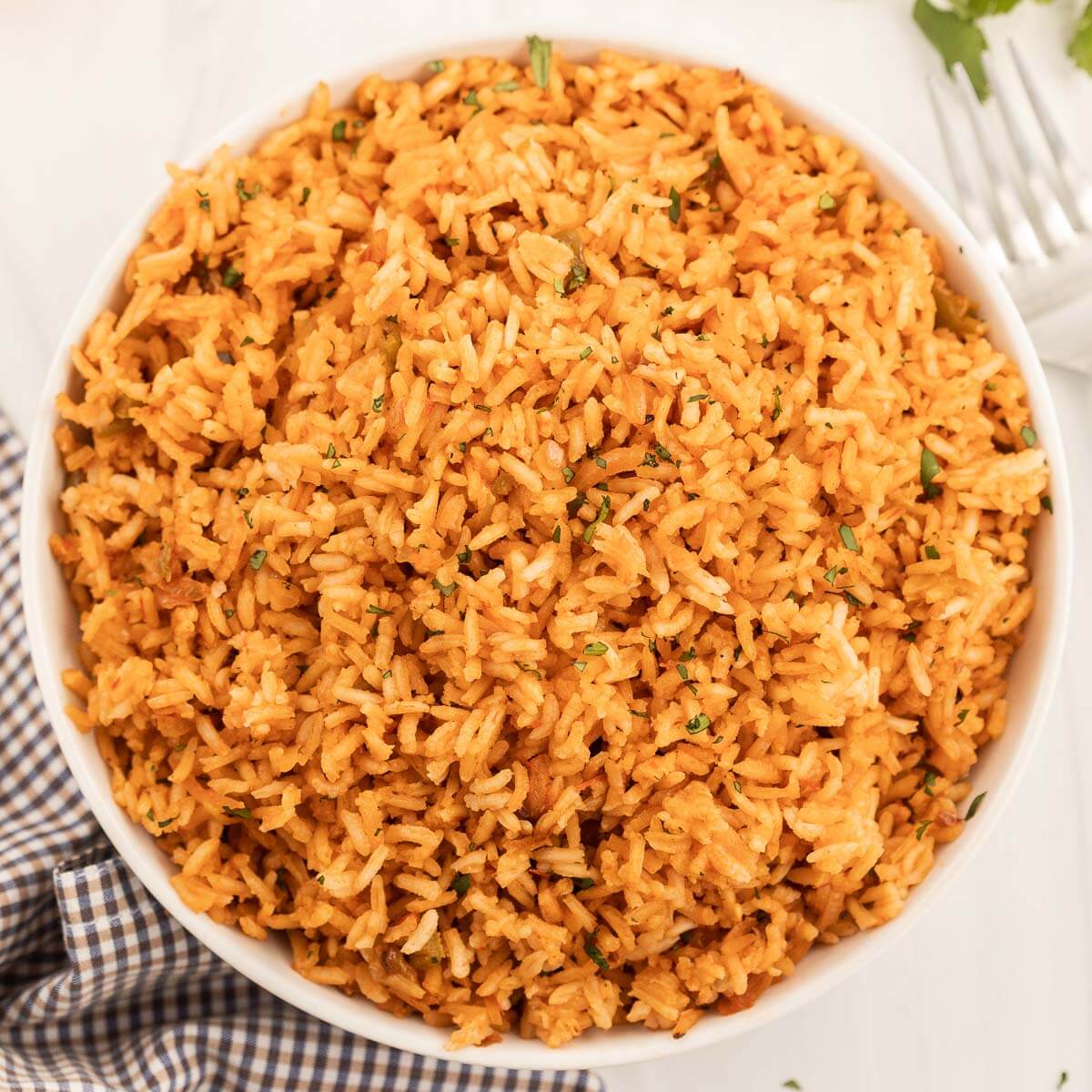 Close up image of Spanish Rice in a white bowl