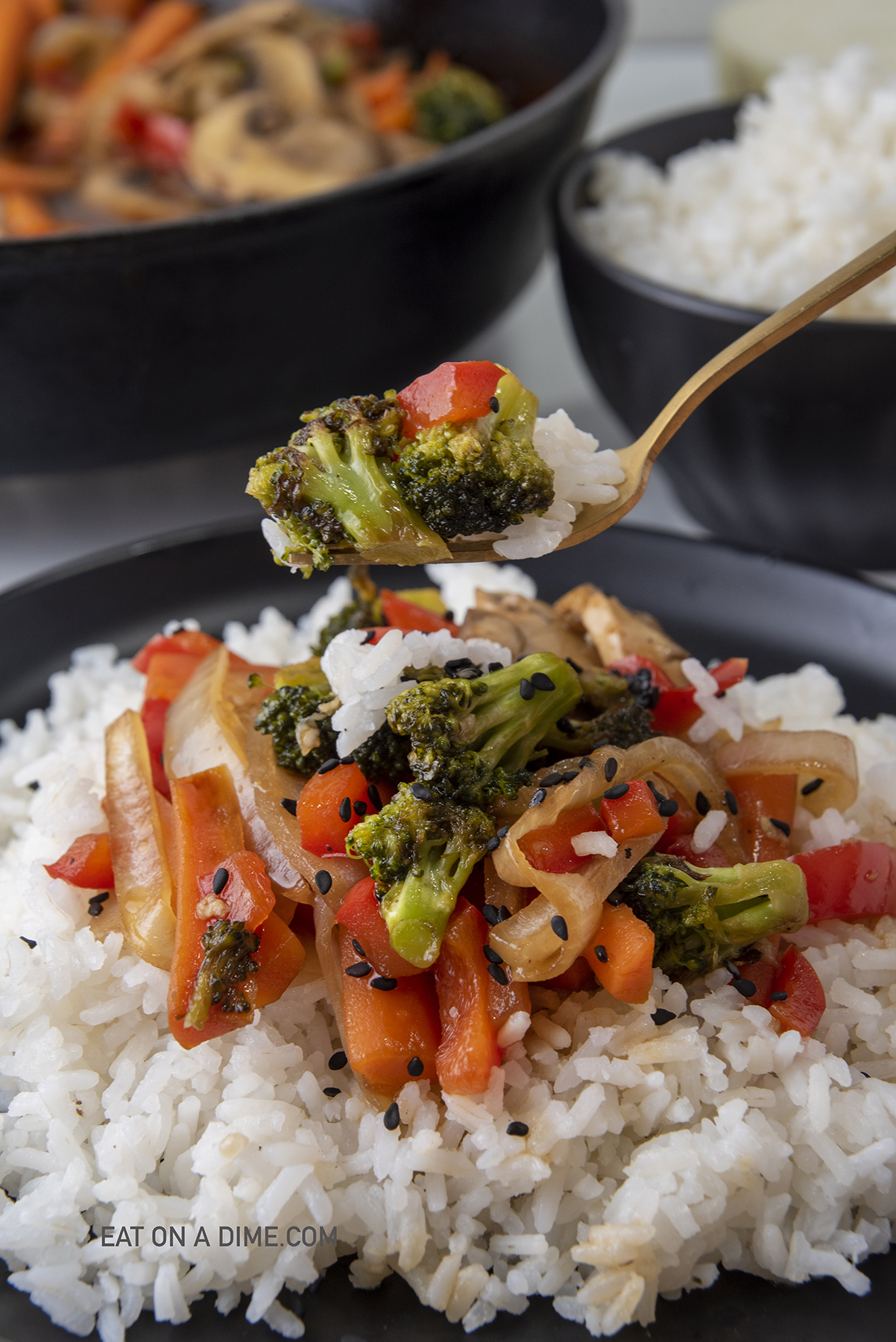 Teriyaki Vegetables on white rice 