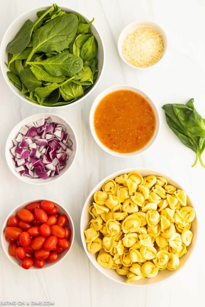 Ingredients needed - cheese tortellini, baby spinach, fresh basil leaves, cherry tomatoes, red onion, italian dressing, parmesan cheese
