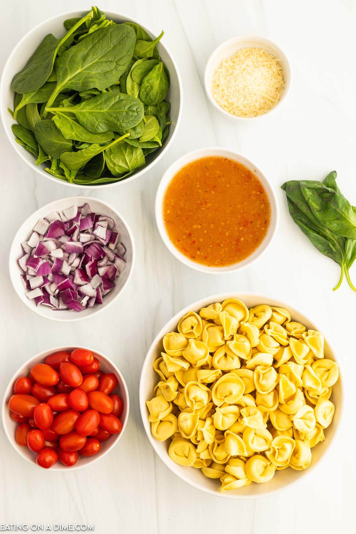 Ingredients needed - cheese tortellini, baby spinach, fresh basil leaves, cherry tomatoes, red onion, italian dressing, parmesan cheese