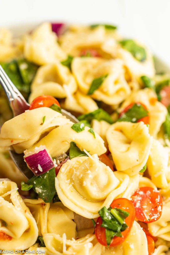 Close up image of Tortellini Pasta Salad with a serving on a spoon