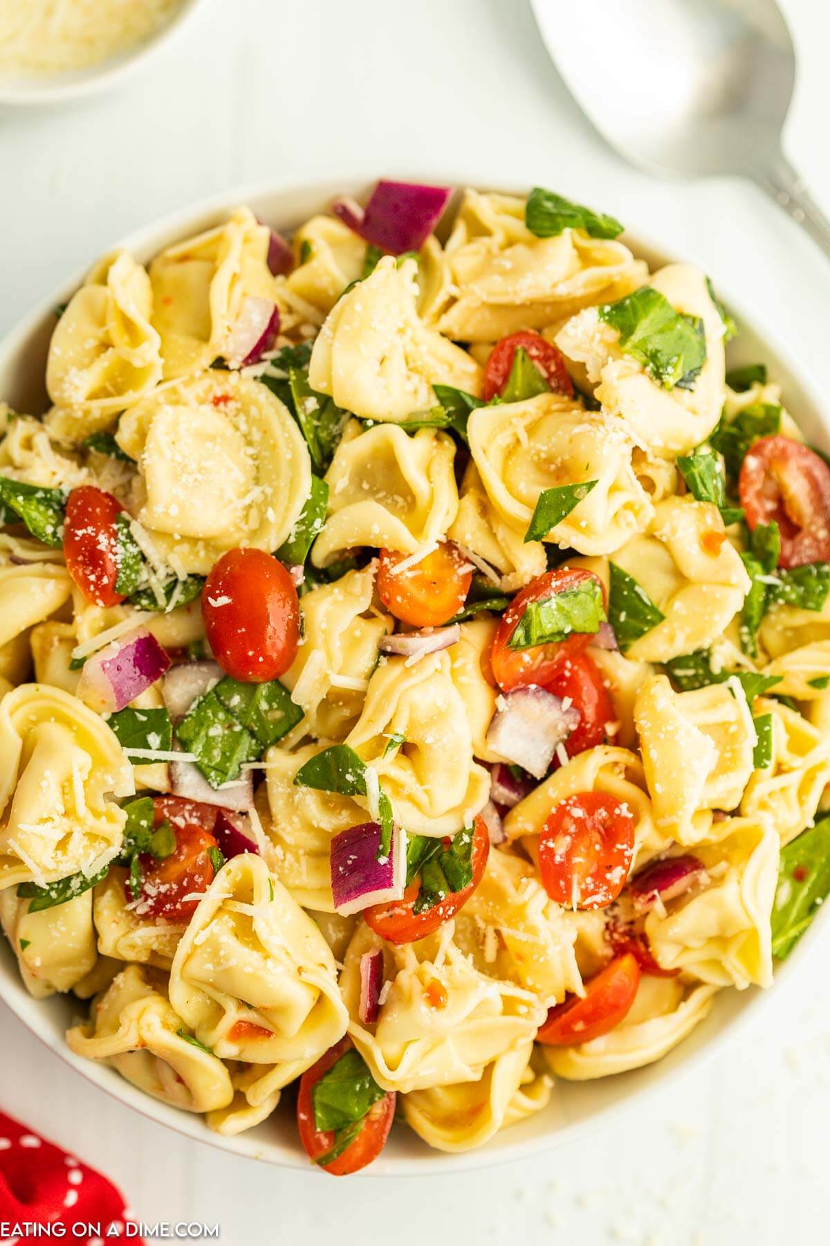 Bowl of Tortellini Pasta Salad