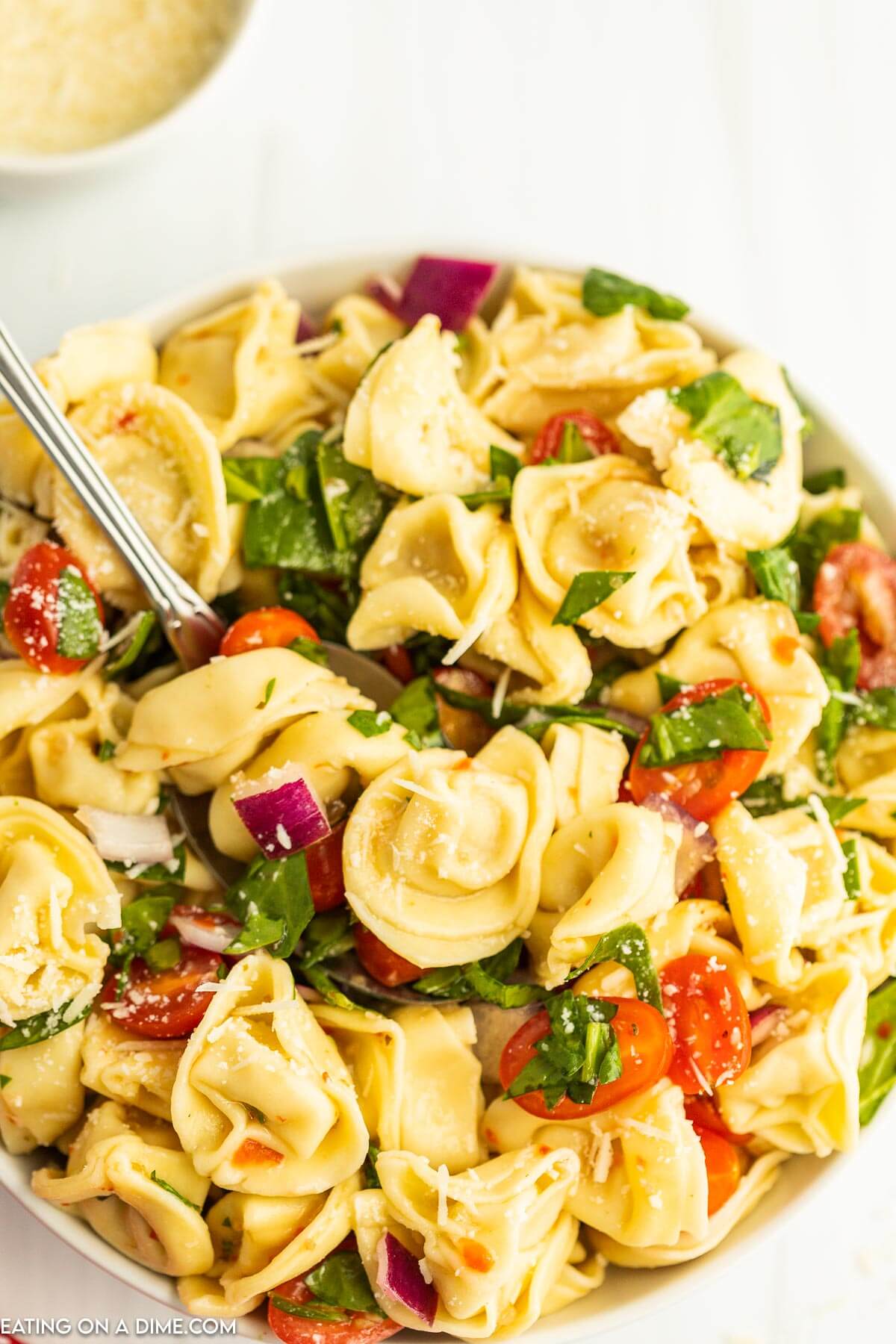 Bowl of Tortellini Pasta Salad with a serving on a spoon