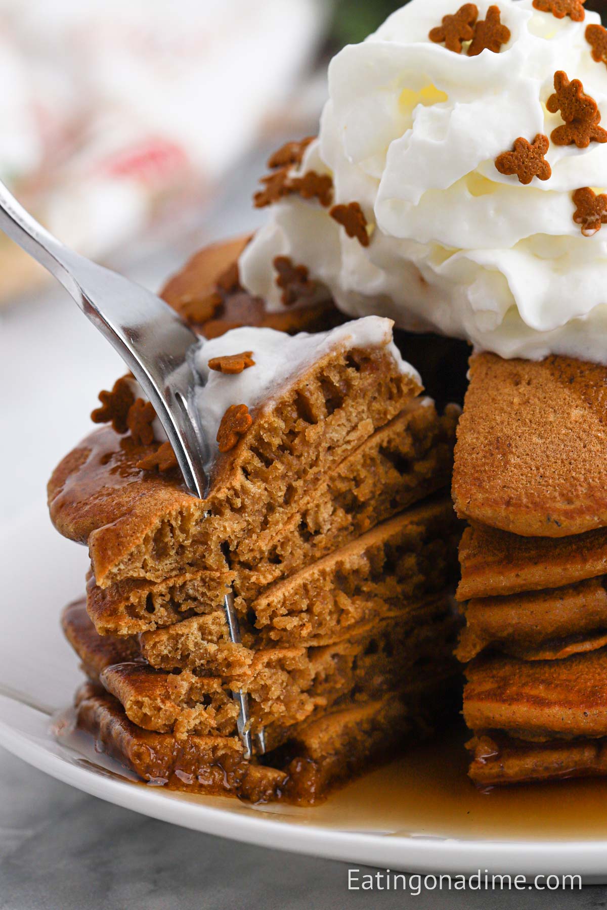 Gingerbread Pancakes with whipped cream. 