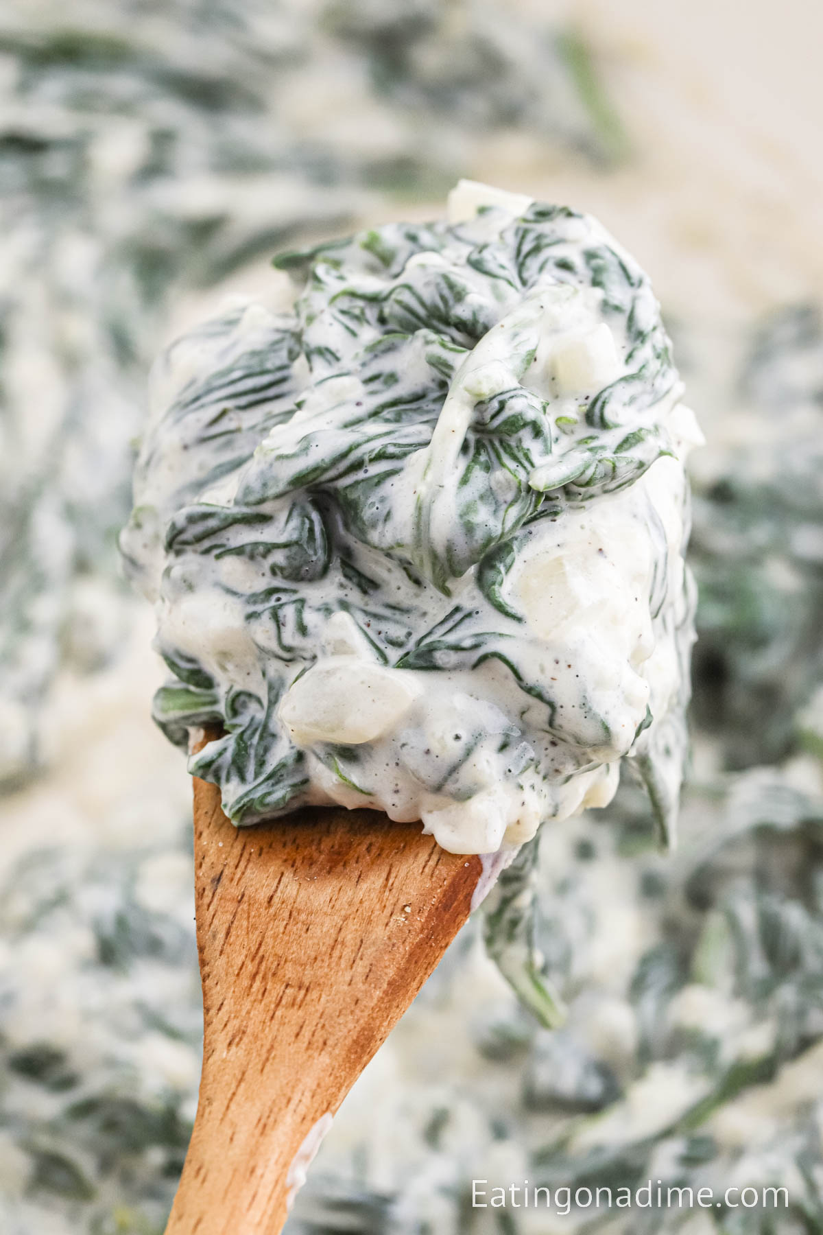 Creamed Spinach in a white bowl with a serving on a wooden spoon