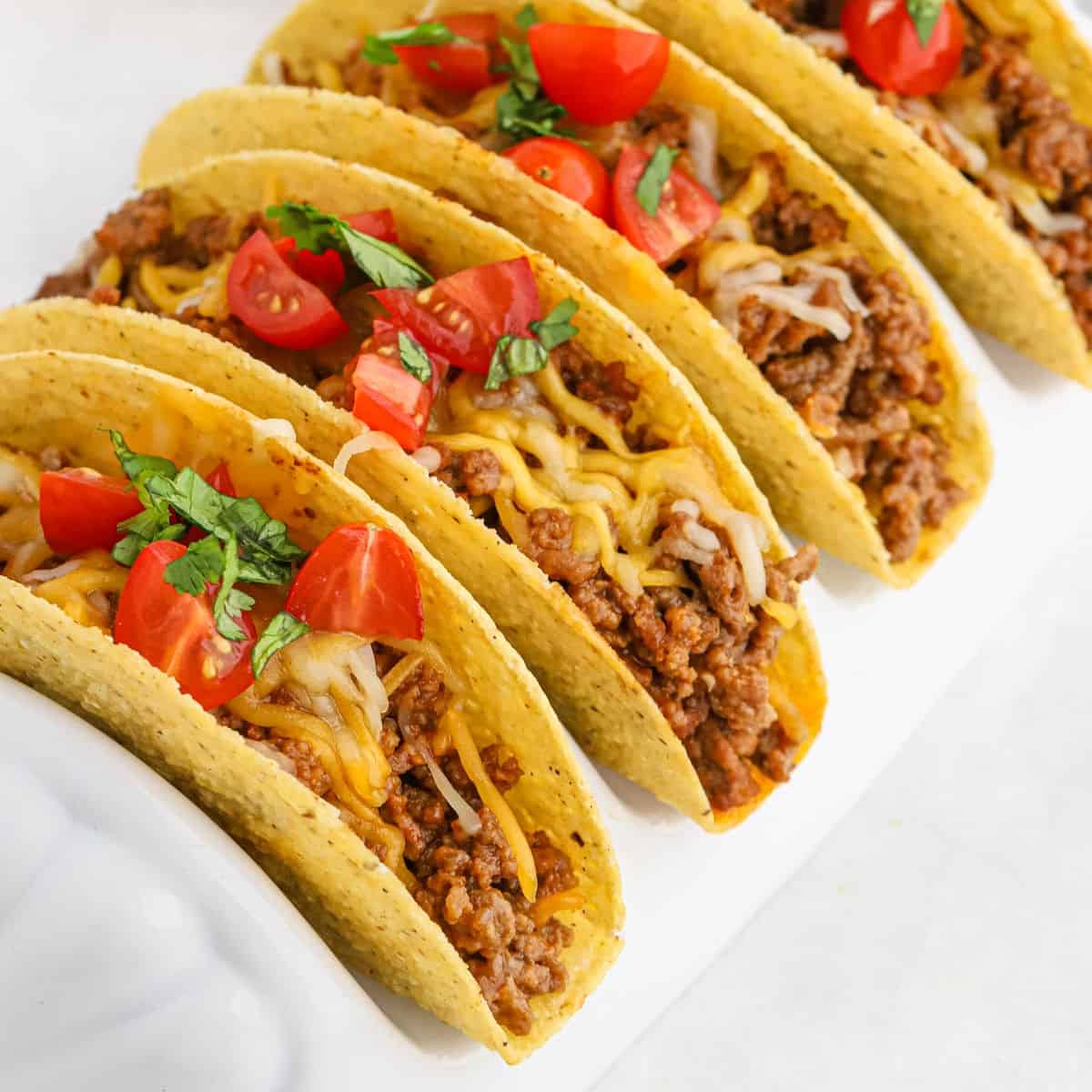 Four crunchy sloppy joe tacos filled with seasoned ground beef, shredded cheese, and topped with chopped tomatoes and fresh herbs, arranged in a white taco holder.