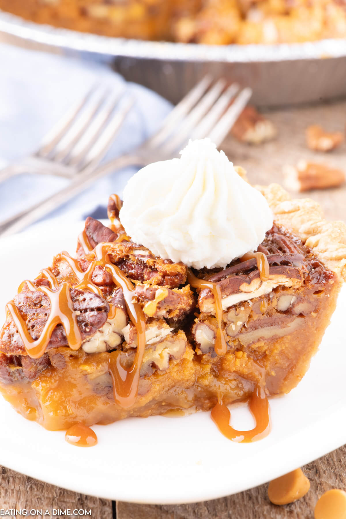 Slice of Butterscotch Pecan Pie topped with whipped cream