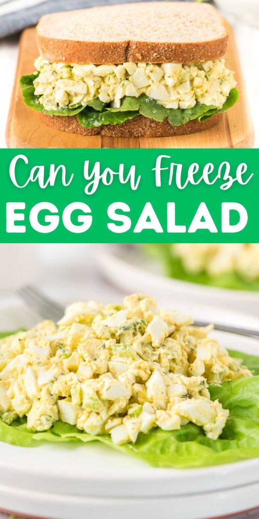 Yes, egg salad can be frozen, but it needs to be handled carefully to retain its original texture and flavor after thawing. Due to its rich texture and savory blend of hard-boiled eggs, mayonnaise, and seasonings. There are, however, situations in which you may have more egg salad than you can eat in one sitting. #eatingonadime #canyoufreezeeggsalad #eggsalad