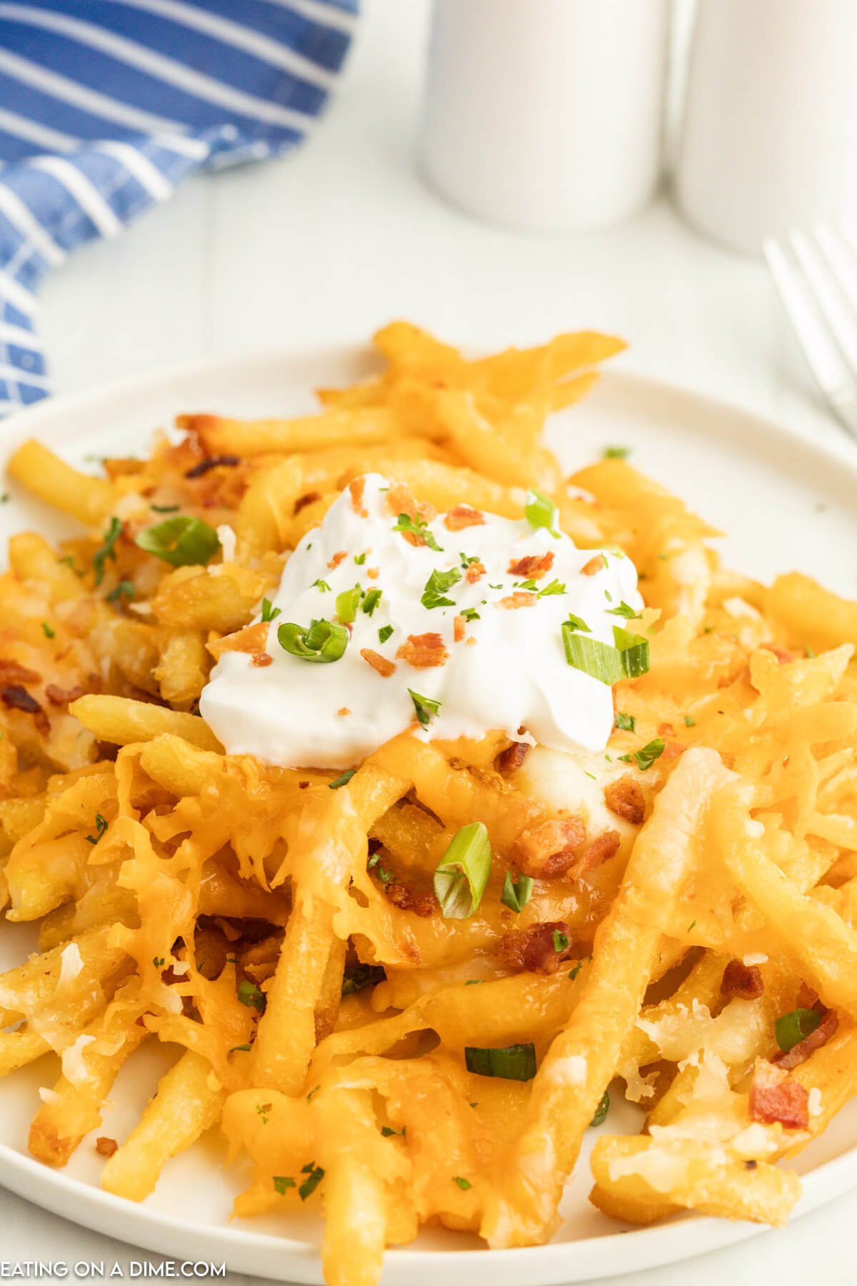 Cheese fries on a white plate