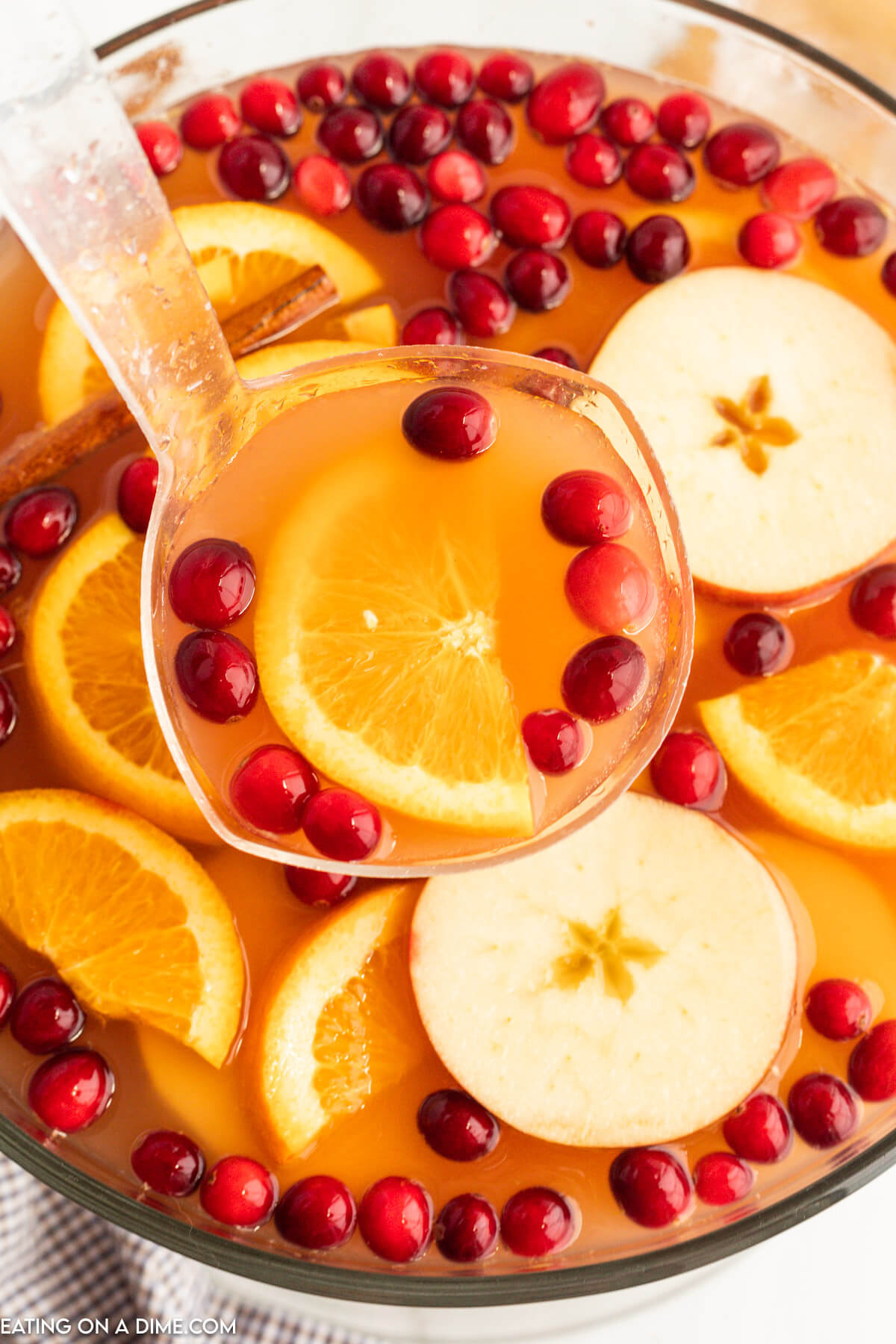 Thanksgiving Punch with cranberries, apple slices and orange slices with cinnamon sticks