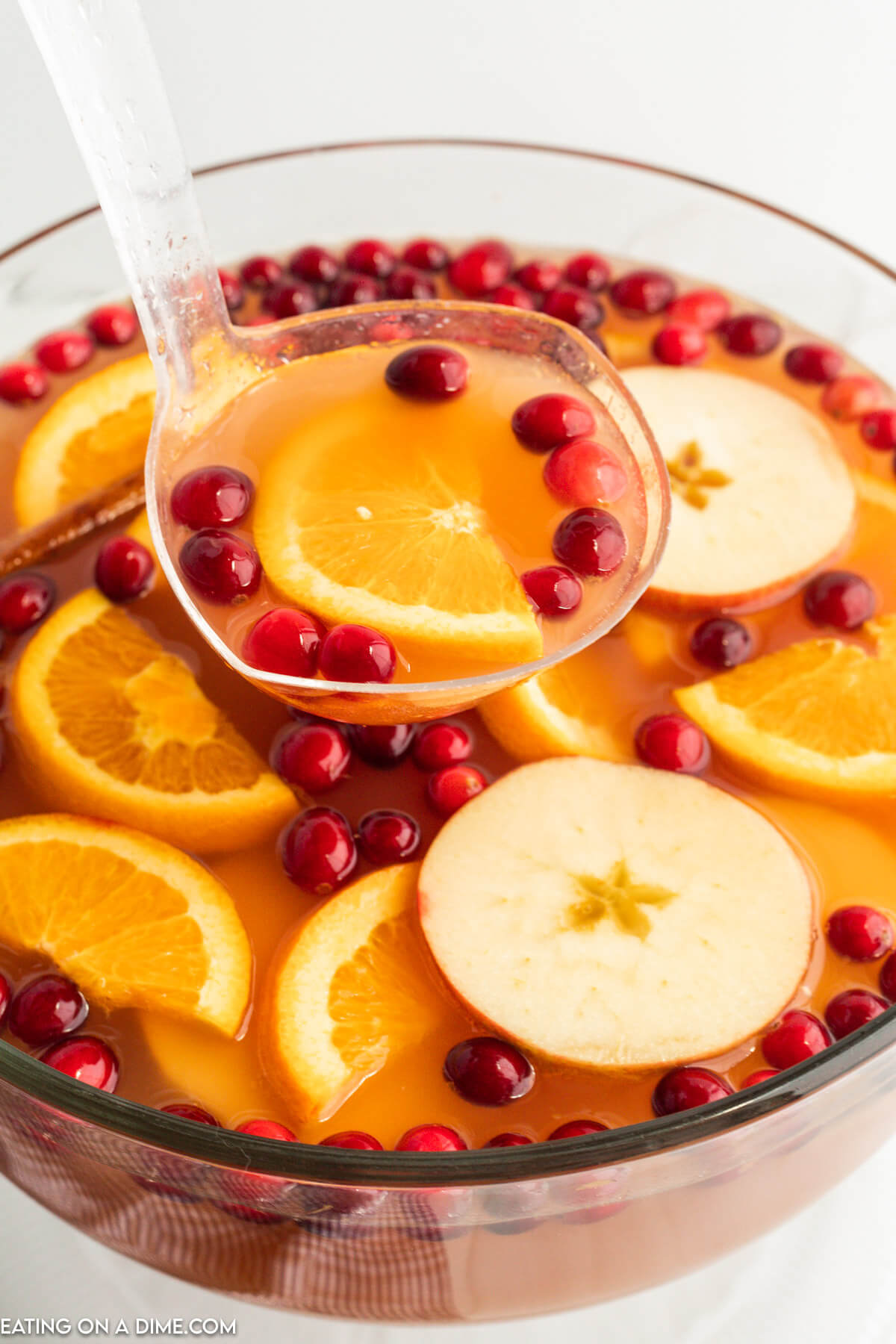Punch bowl of Thanksgiving Punch with cranberries, apple slices and orange slices 