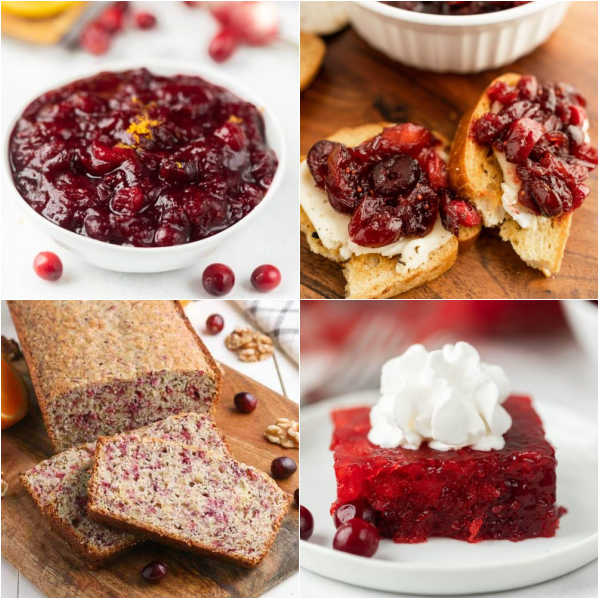 Get ready to elevate your Thanksgiving feast with a burst of tart and tangy deliciousness. With these amazing Thanksgiving cranberry recipes.  Delight your taste buds with creative concoctions like cranberry-stuffed muffins and cranberry cheesecake. This Thanksgiving, let dried cranberries be the star of the show. #eatingonadime #cranberryrecipesforthanksgiving #thanksgivingrecipes