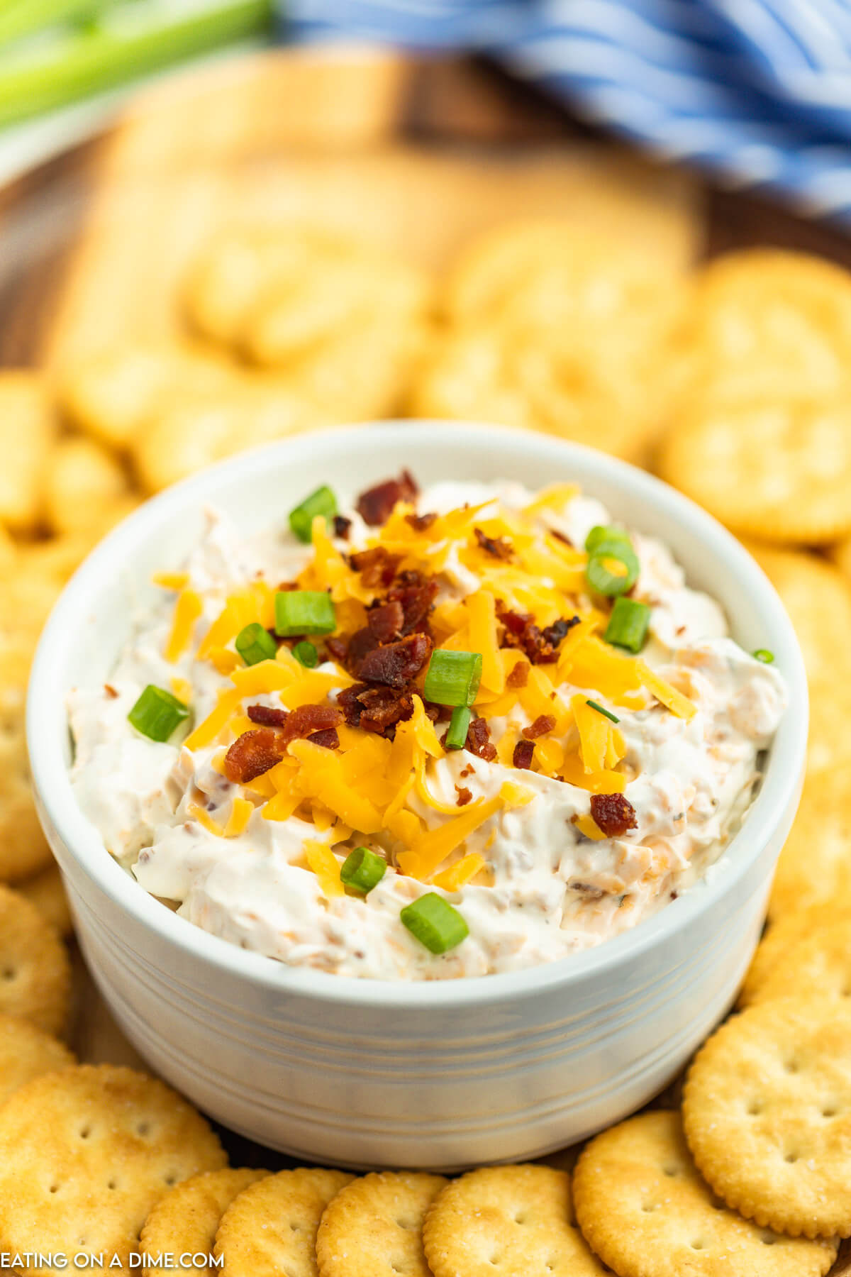 Bacon Cheddar Dip in serving bowl surrounded by crackers for dipping. 
