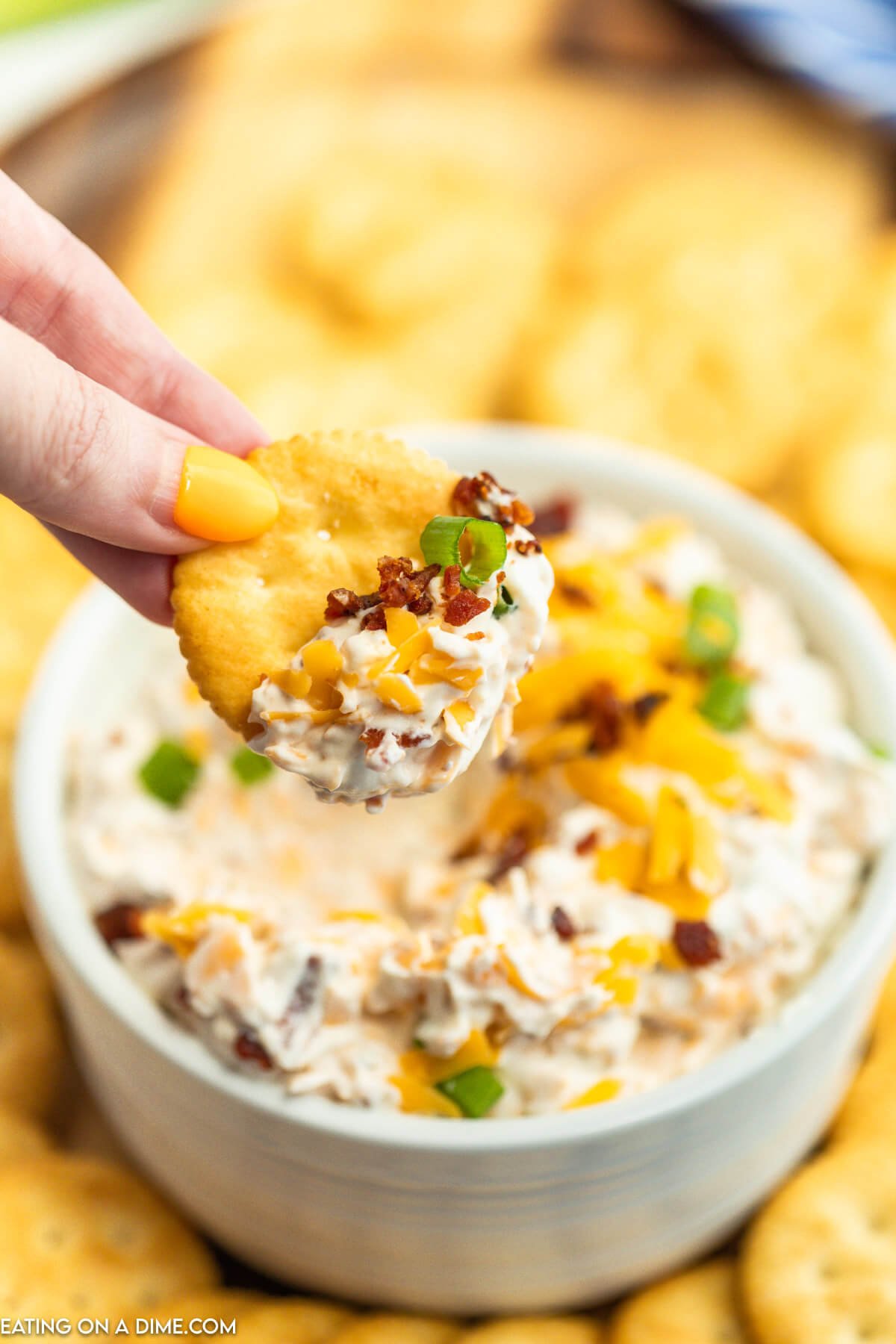 Cracker being dipped in bowl of Bacon Cheddar Dip.