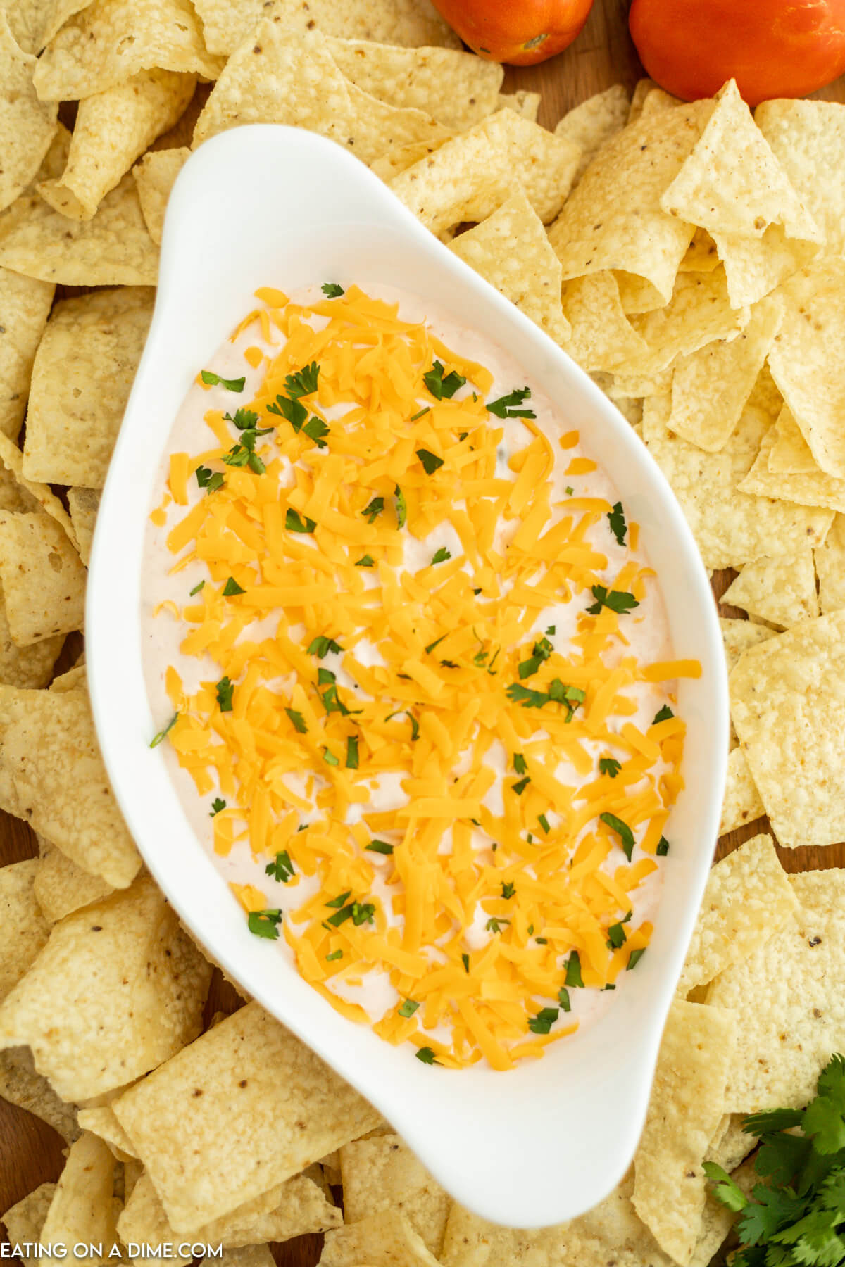 Cream Cheese Salsa Dip in a serving bowl surrounded by tortilla chips. 